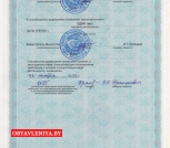 Лицензия лист 1стр. 2